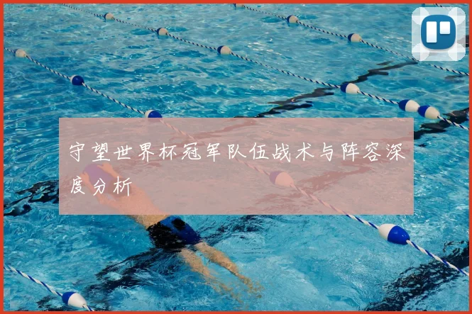 守望世界杯冠军队伍战术与阵容深度分析
