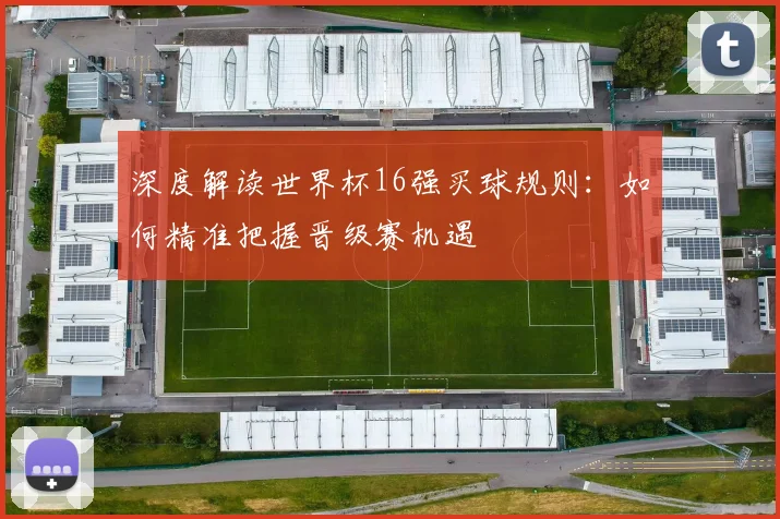 深度解读世界杯16强买球规则：如何精准把握晋级赛机遇