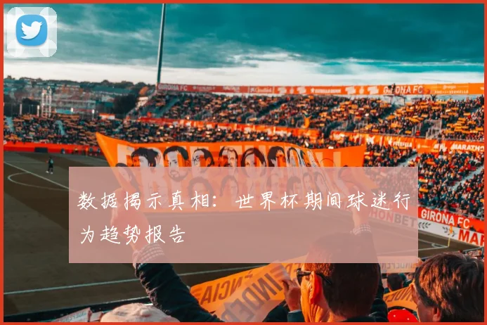 数据揭示真相:世界杯期间球迷行为趋势报告