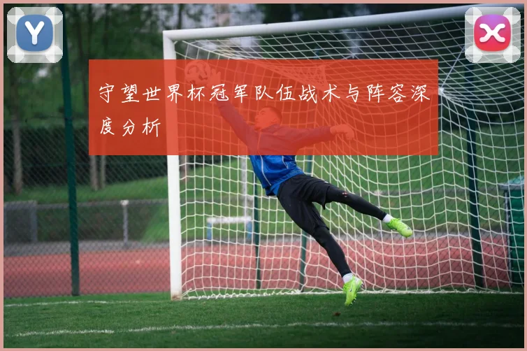 守望世界杯冠军队伍战术与阵容深度分析