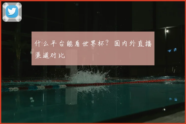 什么平台能看世界杯？国内外直播渠道对比