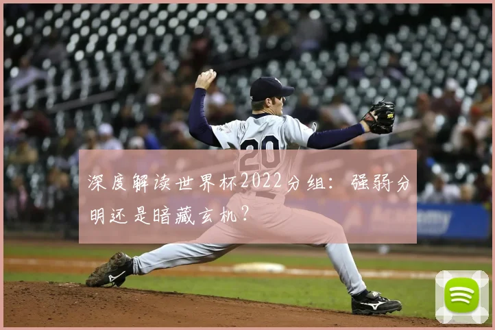 深度解读世界杯2022分组：强弱分明还是暗藏玄机？
