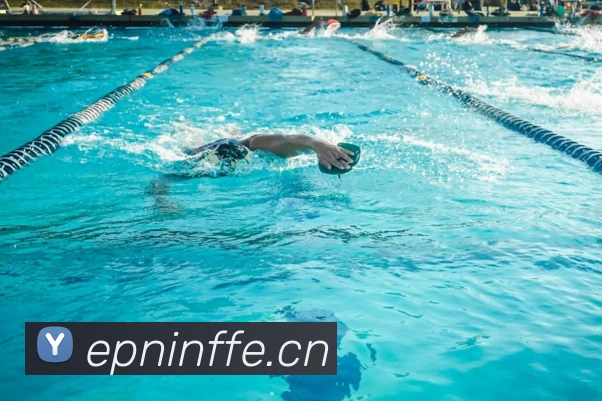 多媒体互动体验